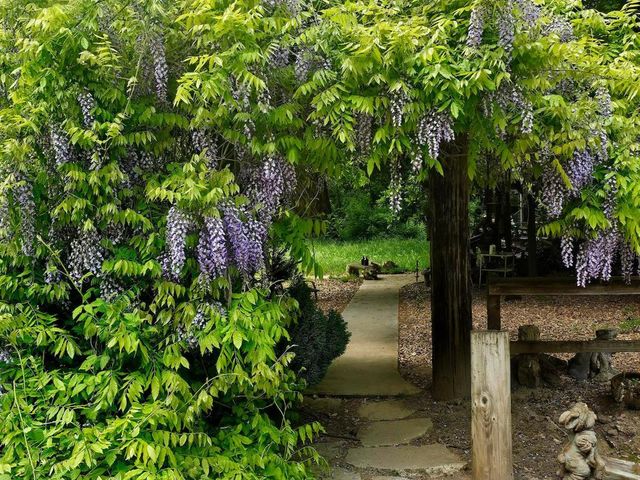 515 Lockhart Gulch Road, Scotts Valley, CA 95066