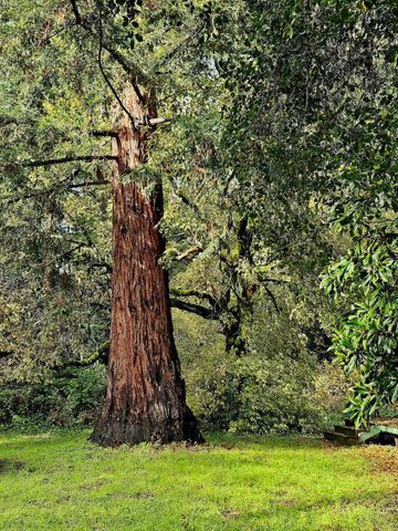 515 Lockhart Gulch Road, Scotts Valley, CA 95066