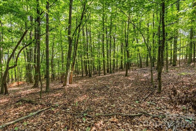 149 Mossy Oak Trail 167, Nebo, NC 28761