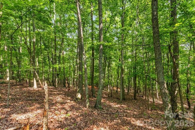 149 Mossy Oak Trail 167, Nebo, NC 28761