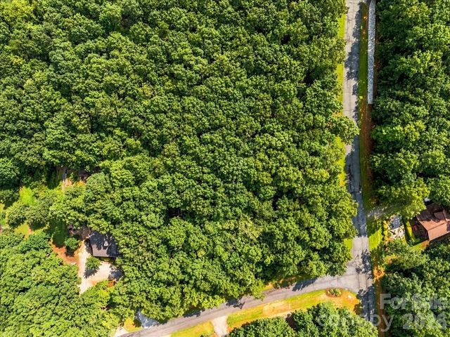 149 Mossy Oak Trail 167, Nebo, NC 28761