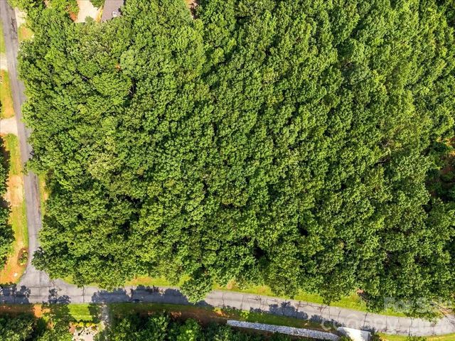 149 Mossy Oak Trail 167, Nebo, NC 28761