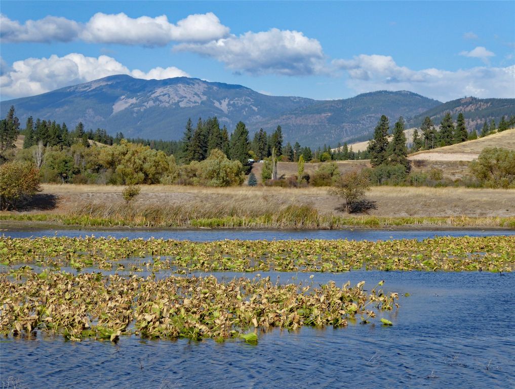 Image 27 of property listing at nhn Lower Lynch Creek Road, Plains, MT 59859