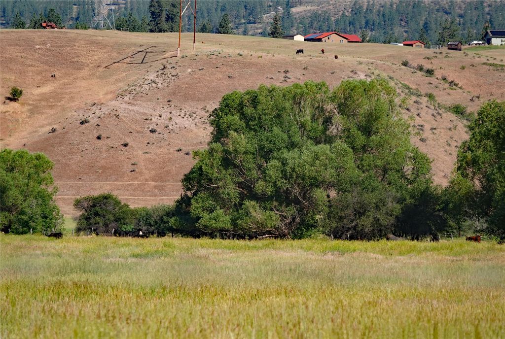 Image 28 of property listing at nhn Lower Lynch Creek Road, Plains, MT 59859