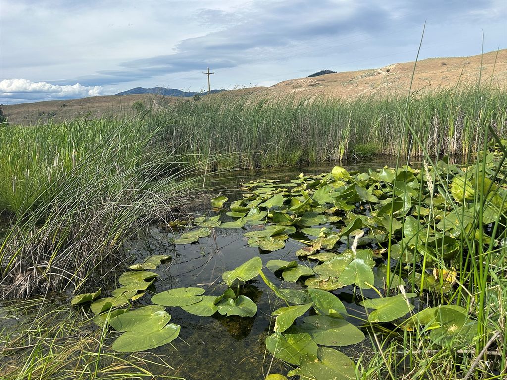 Image 4 of property listing at nhn Lower Lynch Creek Road, Plains, MT 59859