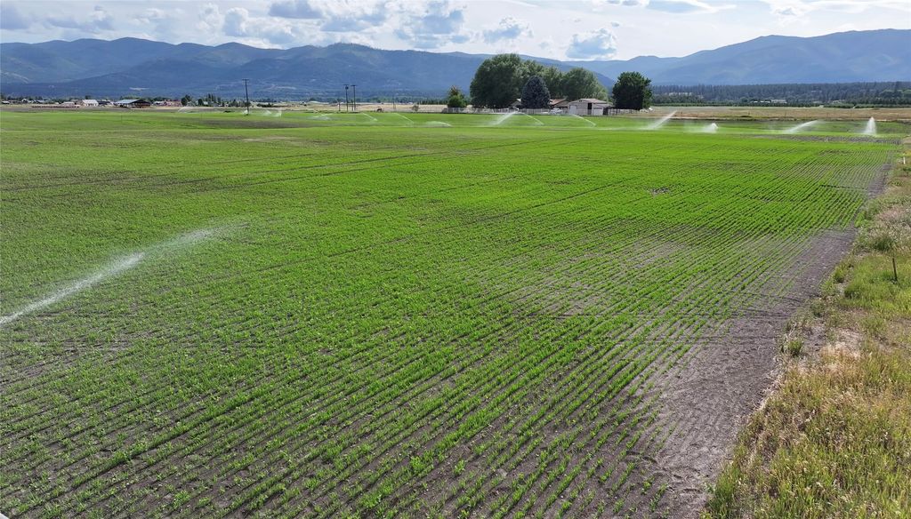 Image 6 of property listing at nhn Lower Lynch Creek Road, Plains, MT 59859