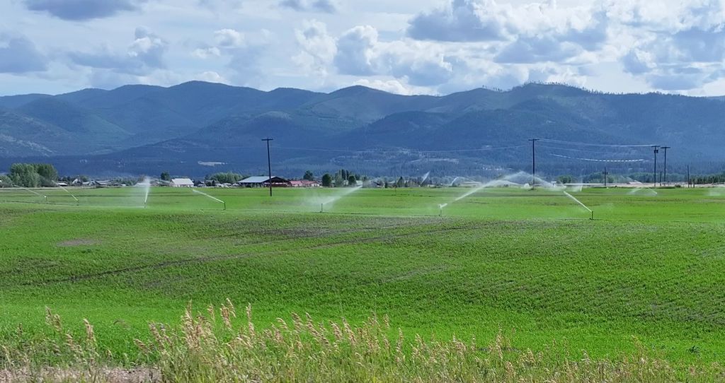 Image 8 of property listing at nhn Lower Lynch Creek Road, Plains, MT 59859