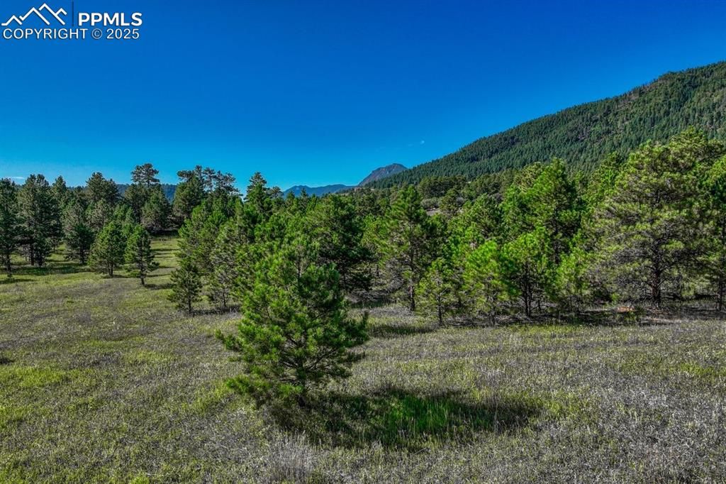 Perry Park Road, Larkspur, CO 80118