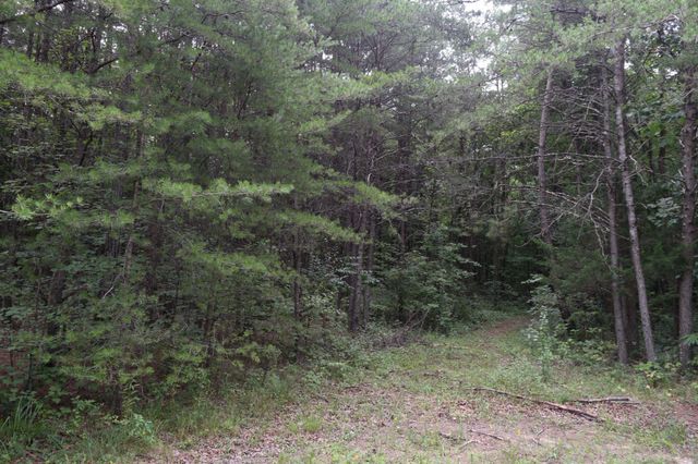 16226 SR 50, Altamont, TN 37301