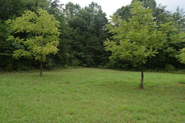 16226 SR 50, Altamont, TN 37301