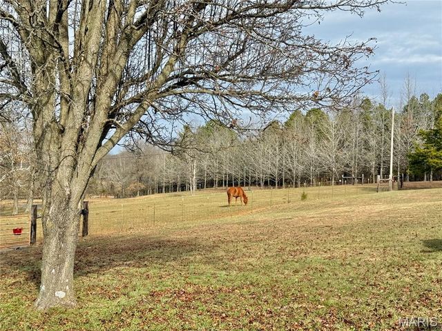 21924 Trogden Rd, Farmington, MO 63640