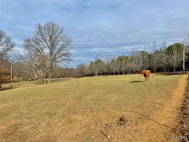 21924 Trogden Rd, Farmington, MO 63640