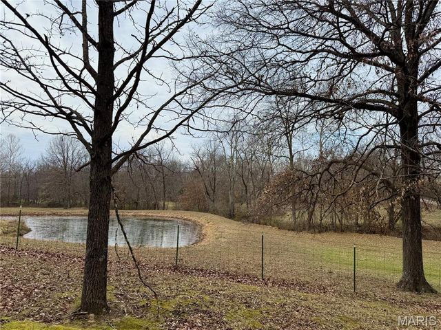 21924 Trogden Rd, Farmington, MO 63640