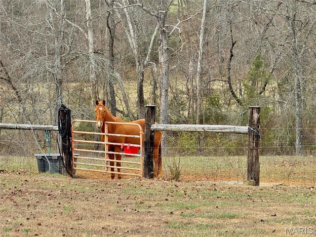 21924 Trogden Rd, Farmington, MO 63640