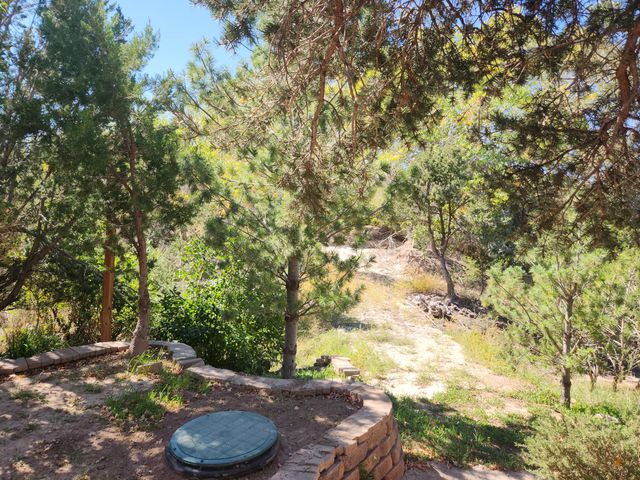 239 & 229 CAMINO DE SAN FRANCISCO, Placitas, NM 87043