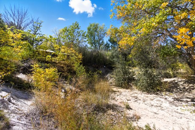 239 & 229 CAMINO DE SAN FRANCISCO, Placitas, NM 87043