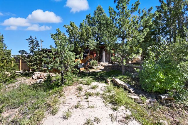 239 & 229 CAMINO DE SAN FRANCISCO, Placitas, NM 87043