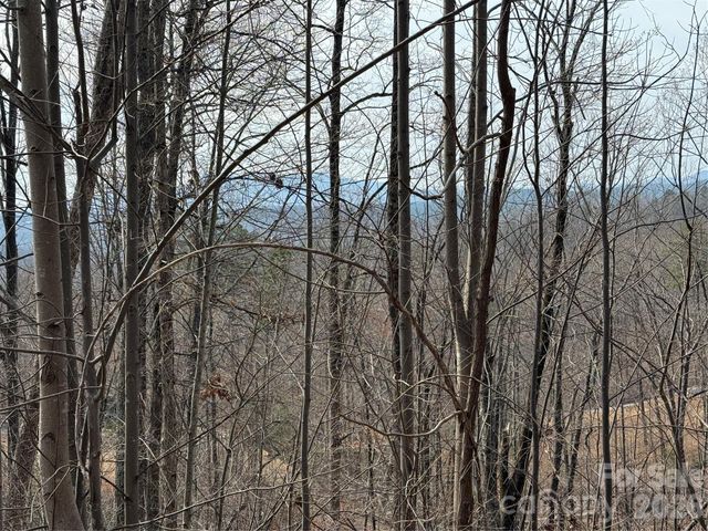 Lot 236 Rock Ledge Drive, Lake Lure, NC 28746