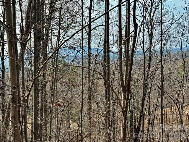 Lot 236 Rock Ledge Drive, Lake Lure, NC 28746