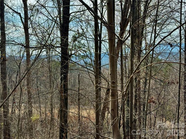 Lot 236 Rock Ledge Drive, Lake Lure, NC 28746
