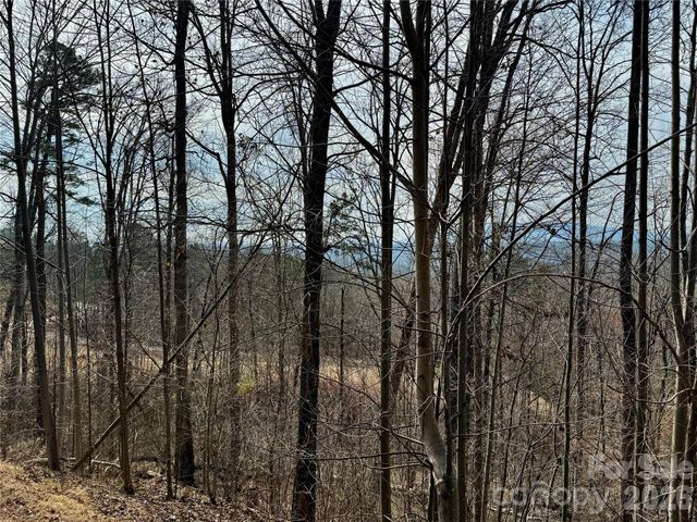 Lot 236 Rock Ledge Drive, Lake Lure, NC 28746