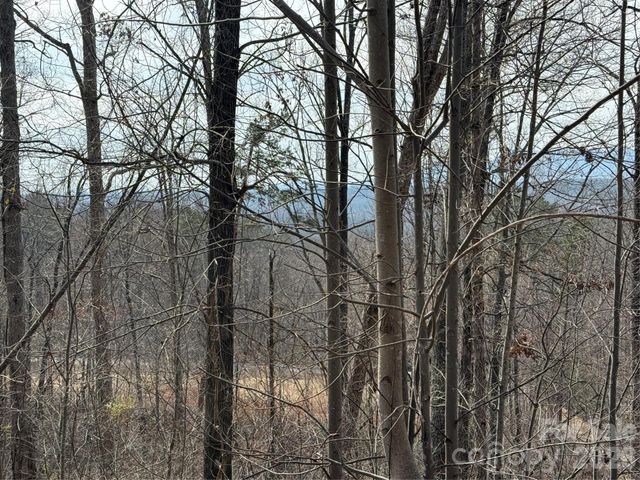 Lot 236 Rock Ledge Drive, Lake Lure, NC 28746