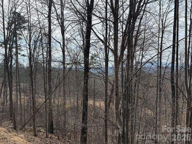 Lot 236 Rock Ledge Drive, Lake Lure, NC 28746