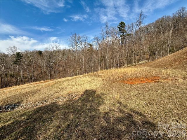 Lot 236 Rock Ledge Drive, Lake Lure, NC 28746