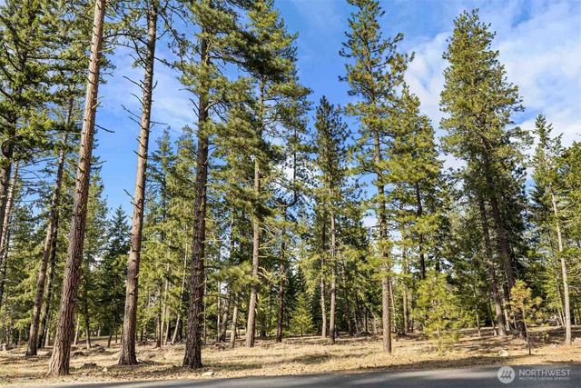 31 Domerie Park Loop, Cle Elum, WA 98922