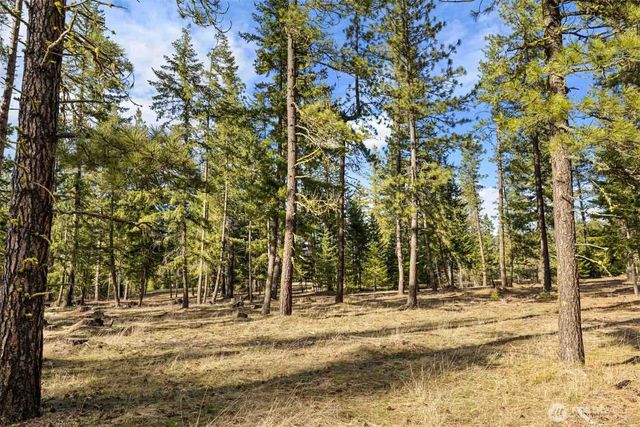 31 Domerie Park Loop, Cle Elum, WA 98922