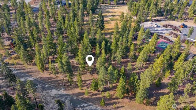 31 Domerie Park Loop, Cle Elum, WA 98922