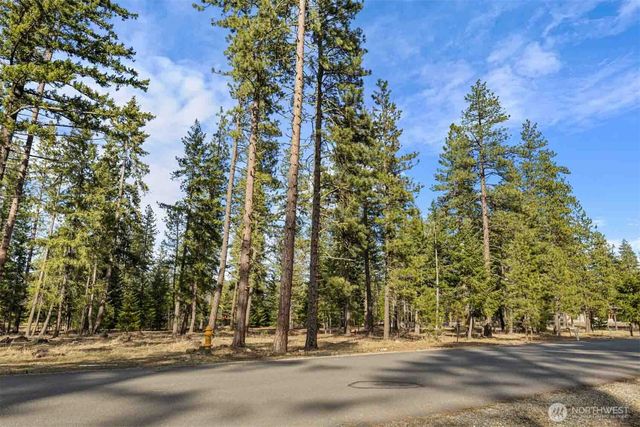 31 Domerie Park Loop, Cle Elum, WA 98922