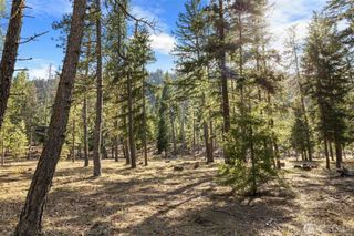 31 Domerie Park Loop, Cle Elum, WA 98922