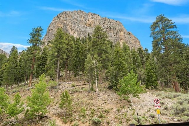 4830 Silver Tip Way, Mount Charleston, NV 89124