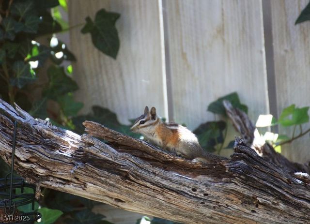 4830 Silver Tip Way, Mount Charleston, NV 89124