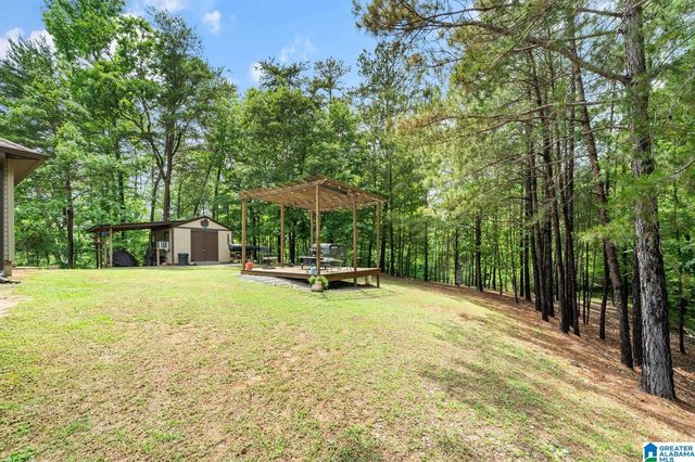 11824 HOLT LOCK & DAM ROAD, Cottondale, AL 35453