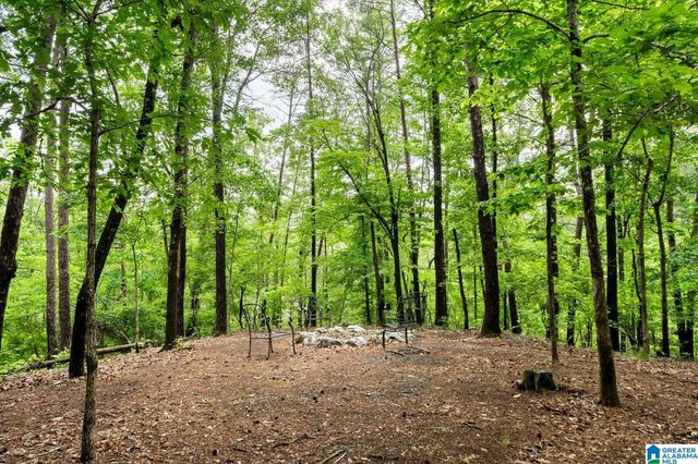 11824 HOLT LOCK & DAM ROAD, Cottondale, AL 35453
