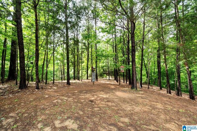 11824 HOLT LOCK & DAM ROAD, Cottondale, AL 35453