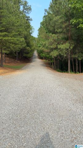 11824 HOLT LOCK & DAM ROAD, Cottondale, AL 35453