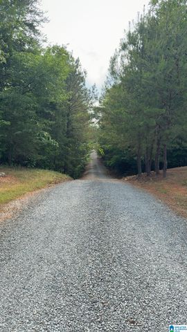 11824 HOLT LOCK & DAM ROAD, Cottondale, AL 35453