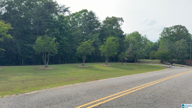 11824 HOLT LOCK & DAM ROAD, Cottondale, AL 35453