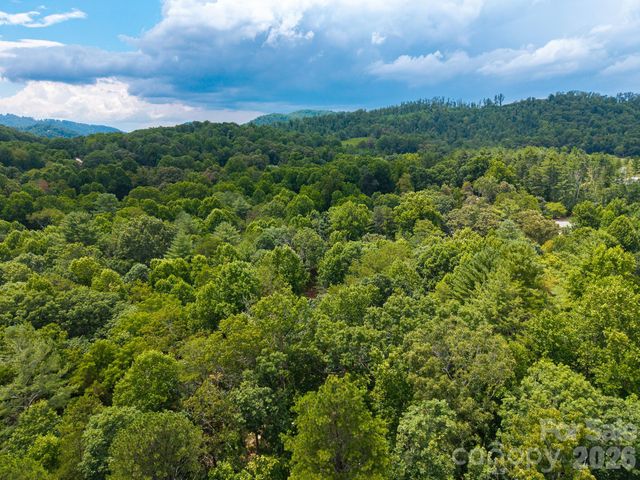31 Burtiller Lane, Fletcher, NC 28732