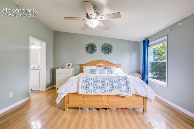 7647 Whiptail Point, Colorado Springs, CO 80922