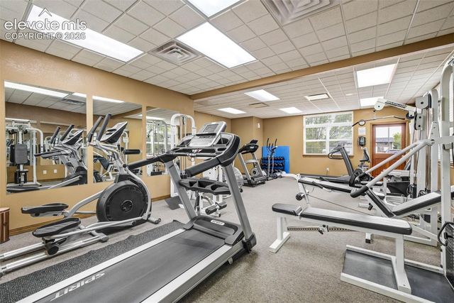 7647 Whiptail Point, Colorado Springs, CO 80922
