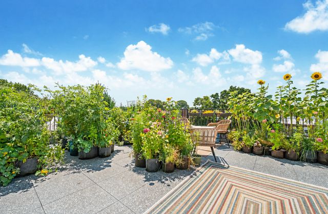 246 Maple Street PHA, New York City, NY 11225