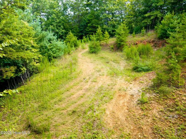 37 Toccoa Lane, Murphy, NC 28906