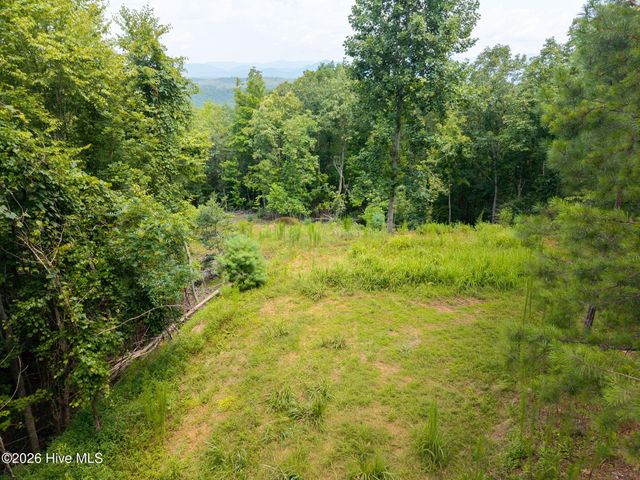 37 Toccoa Lane, Murphy, NC 28906