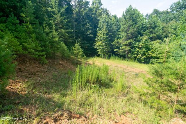37 Toccoa Lane, Murphy, NC 28906
