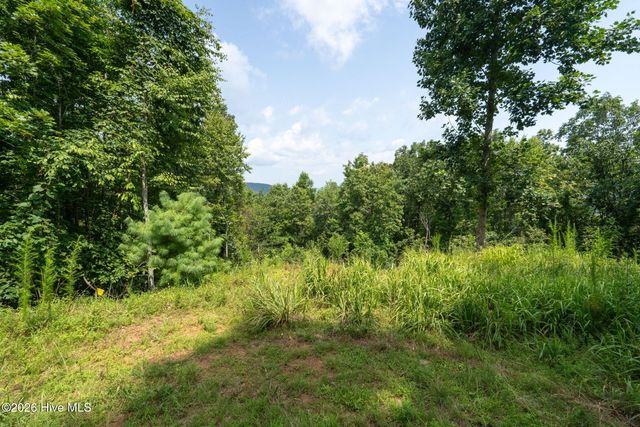 37 Toccoa Lane, Murphy, NC 28906