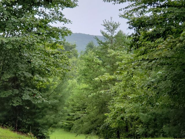 37 Toccoa Lane, Murphy, NC 28906